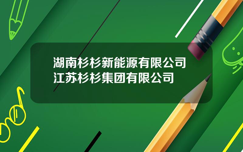 湖南杉杉新能源有限公司 江苏杉杉集团有限公司